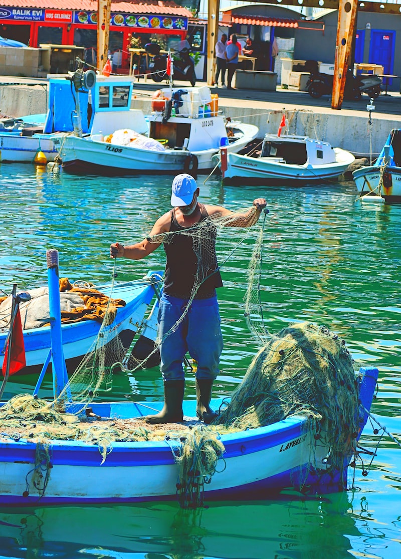 Deniz Biyolojisi ve Okyanuslar Deniz Biyolojisi ve Okyanuslar