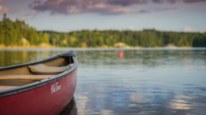 uploaded-image-doga-ve-kayak-1697197799484